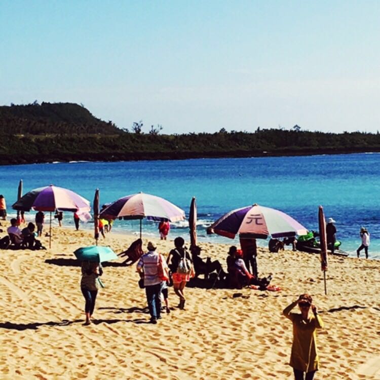 长春海外 台湾环岛8日 长春直飞 台北 台中 嘉义 阿里山 高雄 垦丁 花莲全程高级酒店