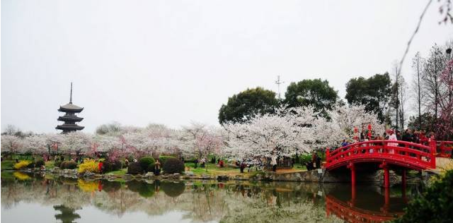 长春哪家旅行社好