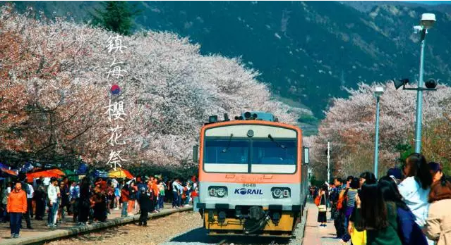 长春旅行社排行榜