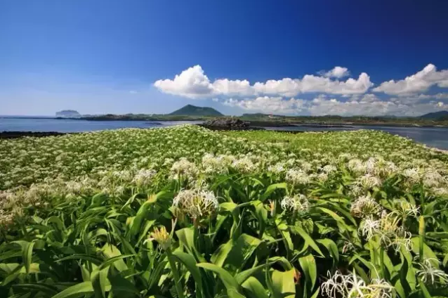 长春旅行社排行榜