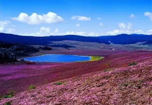 长春旅游攻略