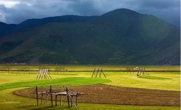 长春旅游报价