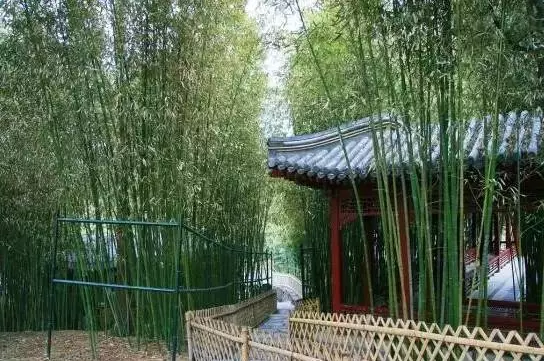 长春到韩国旅游