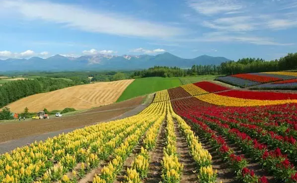 长春旅行社哪家好