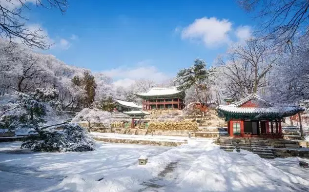 长春旅行社电话